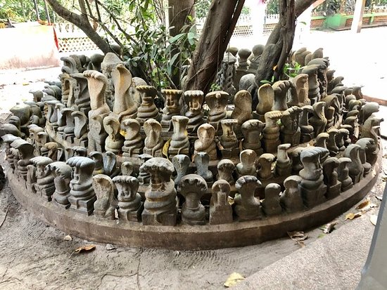 Ayilyam festival Mannarasala Kerala